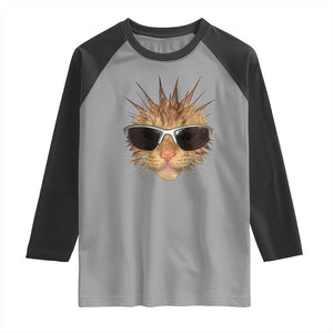 Funny Y2k Retro Cat Meme Raglan Shirt Vintage Cat Edgy Retro 90s Streetwear TS10 Sport Gray Black Print Your Wear