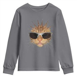 Funny Y2k Retro Cat Meme Youth Sweatshirt Vintage Cat Edgy Retro 90s Streetwear TS10 Charcoal Print Your Wear