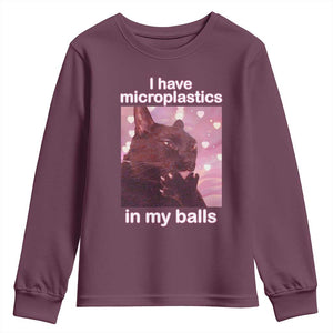Funny Cat Meme Youth Sweatshirt I Have Microplastics In My Balls Dank Meme TS10 Maroon Print Your Wear