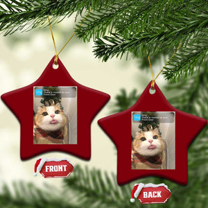 Funny Cat Christmas Ceramic Ornament Ring There is Motion at Your Front Door Meme Xmas Tree TS10 Print Your Wear