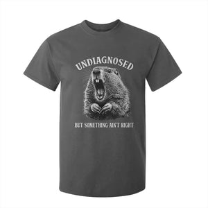 Funny Groundhog Meme Undiagnosed But Something Aint Right T Shirt For Kid TS10 Dark Heather Print Your Wear
