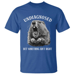 Funny Groundhog Meme Undiagnosed But Something Aint Right T Shirt TS10 Royal Blue Print Your Wear