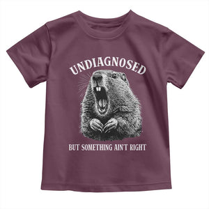 Funny Groundhog Meme Undiagnosed But Something Aint Right Toddler T Shirt TS10 Maroon Print Your Wear