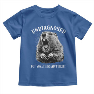 Funny Groundhog Meme Undiagnosed But Something Aint Right Toddler T Shirt TS10 Royal Blue Print Your Wear