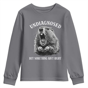 Funny Groundhog Meme Undiagnosed But Something Aint Right Youth Sweatshirt TS10 Charcoal Print Your Wear