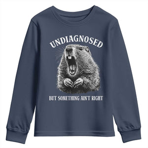 Funny Groundhog Meme Undiagnosed But Something Aint Right Youth Sweatshirt TS10 Navy Print Your Wear