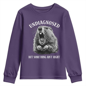 Funny Groundhog Meme Undiagnosed But Something Aint Right Youth Sweatshirt TS10 Purple Print Your Wear