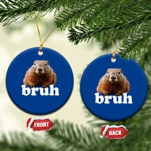 Bruh Groundhog Ceramic Ornament Funny Woodchuck Youth Teens Kids Slang TS10 1pc Blue Print Your Wear