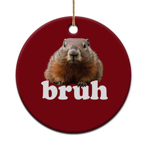 Bruh Groundhog Ceramic Ornament Funny Woodchuck Youth Teens Kids Slang TS10 1pc Red Print Your Wear