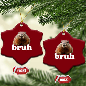 Bruh Groundhog Ceramic Ornament Funny Woodchuck Youth Teens Kids Slang TS10 Print Your Wear