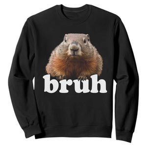 Bruh Groundhog Sweatshirt Funny Woodchuck Youth Teens Kids Slang TS10 Black Print Your Wear