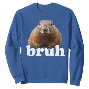 Bruh Groundhog Sweatshirt Funny Woodchuck Youth Teens Kids Slang TS10 Royal Blue Print Your Wear