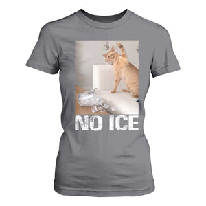 Funny Cat Meme No Ice T Shirt For Women Subtle FDT Political Satire Satirical Humor TS10 Charcoal Print Your Wear