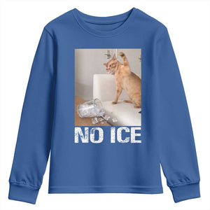 Funny Cat Meme No Ice Youth Sweatshirt Subtle FDT Political Satire Satirical Humor TS10 Royal Blue Print Your Wear