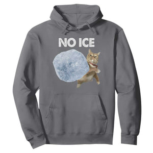 No Ice Hoodie Funny Cat Meme Subtle FDT Political Satire TS10 Charcoal Print Your Wear