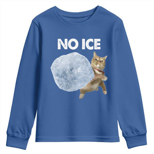 No Ice Youth Sweatshirt Funny Cat Meme Subtle FDT Political Satire TS10 Royal Blue Print Your Wear