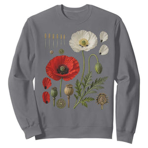 Summer Red Poppy Flower Botanical Poppies Vintage Print Memorial Day Floral Graphic Sweatshirt