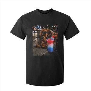 4th Of July Dachshund Drinking Slushie T Shirt For Kid Patriotic 250 Anniversary USA Dog Lovers Funny Meme