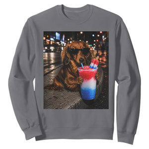 4th Of July Dachshund Drinking Slushie Sweatshirt Patriotic 250 Anniversary USA Dog Lovers Funny Meme