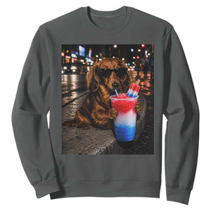 4th Of July Dachshund Drinking Slushie Sweatshirt Patriotic 250 Anniversary USA Dog Lovers Funny Meme