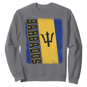 Vintage Barbados Flag Sweatshirt Distressed Patriotic Caribbean Island Barbadian Pride Heritage Gift TS10 Charcoal Print Your Wear