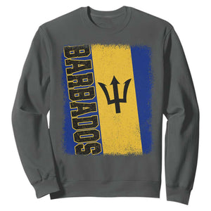 Vintage Barbados Flag Sweatshirt Distressed Patriotic Caribbean Island Barbadian Pride Heritage Gift TS10 Dark Heather Print Your Wear