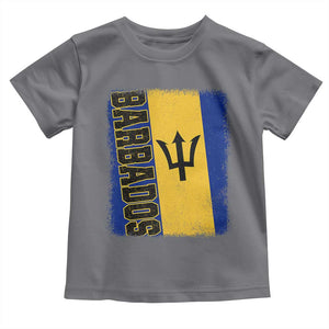 Vintage Barbados Flag Toddler T Shirt Distressed Patriotic Caribbean Island Barbadian Pride Heritage Gift TS10 Charcoal Print Your Wear