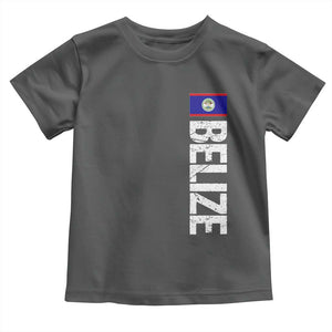 Belize Flag Toddler T Shirt Distressed Central American Pride Heritage Gift TS10 Dark Heather Print Your Wear