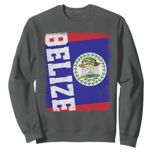Vintage Belize Sweatshirt Distressed Flag Central American Pride Heritage Gift TS10 Dark Heather Print Your Wear