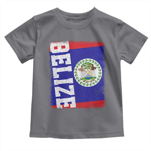 Vintage Belize Toddler T Shirt Distressed Flag Central American Pride Heritage Gift TS10 Charcoal Print Your Wear