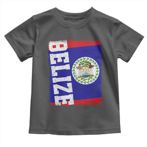 Vintage Belize Toddler T Shirt Distressed Flag Central American Pride Heritage Gift TS10 Dark Heather Print Your Wear