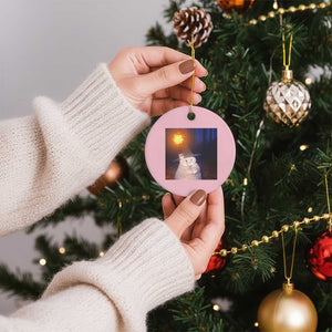 Wizard Cat Ceramic Ornament Weird Funny Retro Halloween Orange Cat Meme TS10 1pc Light Pink Print Your Wear