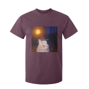 Wizard Cat T Shirt For Kid Weird Funny Retro Halloween Orange Cat Meme TS10 Maroon Print Your Wear
