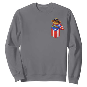 Funny Coqui Frog Puerto Rico Flag Sweatshirt Puerto Rican Taino Buricua Pocket Borinquen TS10 Charcoal Print Your Wear