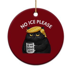 No ICE Protest Ceramic Ornament Is He Dead Yet Black Cat Meme TS10 1pc Red Print Your Wear