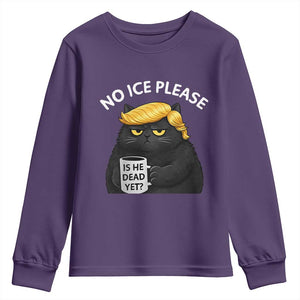 No ICE Protest Youth Sweatshirt Is He Dead Yet Black Cat Meme TS10 Purple Print Your Wear