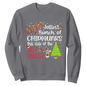 Funny Christmas Sweatshirt Jolliest Bunch Of Chipmunks This Side Of The Nut House TS10 Charcoal Print Your Wear