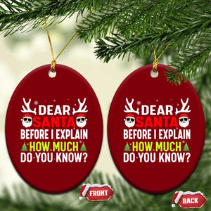 Funny Christmas Ceramic Ornament Dear Santa I Can Explain How Much Do You Know TS10 Print Your Wear