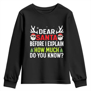 Funny Christmas Youth Sweatshirt Dear Santa I Can Explain How Much Do You Know TS10 Black Print Your Wear