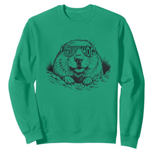 Funny Groundhog Face Woodchuck Sunglassess Sweatshirt TS11 Irish Green Print Your Wear