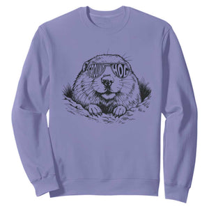 Funny Groundhog Face Woodchuck Sunglassess Sweatshirt TS11 Violet Print Your Wear