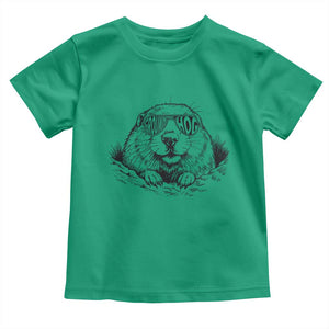 Funny Groundhog Face Woodchuck Sunglassess Toddler T Shirt TS11 Irish Green Print Your Wear