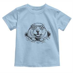 Funny Groundhog Face Woodchuck Sunglassess Toddler T Shirt TS11 Light Blue Print Your Wear