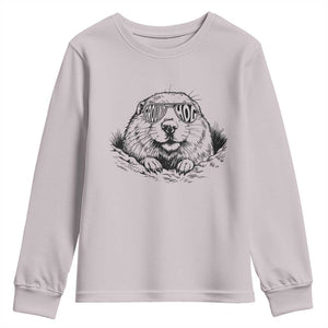 Funny Groundhog Face Woodchuck Sunglassess Youth Sweatshirt TS11 Ice Gray Print Your Wear