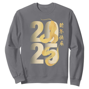 Happy Chinese New Year 2025 Sweatshirt Calligraphy Year Of The Snake Zodiac Animals TS11 Charcoal Print Your Wear