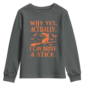 Halloween Dog Youth Sweatshirt Why Yes Actually I Can Drive A Stick Witch TS11 Dark Heather Print Your Wear