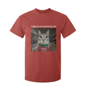 Rage Is Consuming Me Christmas T Shirt For Kid Funny Silly Staring Cat Meme Xmas Ugly Sweater TS11 Red Print Your Wear