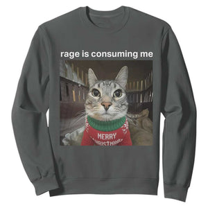 Rage Is Consuming Me Christmas Sweatshirt Funny Silly Staring Cat Meme Xmas Ugly Sweater TS11 Dark Heather Print Your Wear