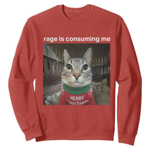 Rage Is Consuming Me Christmas Sweatshirt Funny Silly Staring Cat Meme Xmas Ugly Sweater TS11 Red Print Your Wear