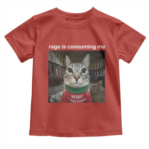 Rage Is Consuming Me Christmas Toddler T Shirt Funny Silly Staring Cat Meme Xmas Ugly Sweater TS11 Red Print Your Wear